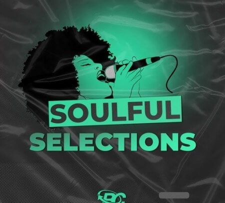 Big Citi Loops Soulful Selections WAV